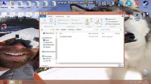 Как и куда закинуть сохранение Assassin's Creed?