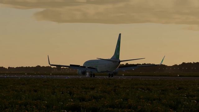 Landing In Lyon, France | Lyon-Saint Exupéry Airport | LFLL | 737-800 | X-Plane 11 | Zibo Mod