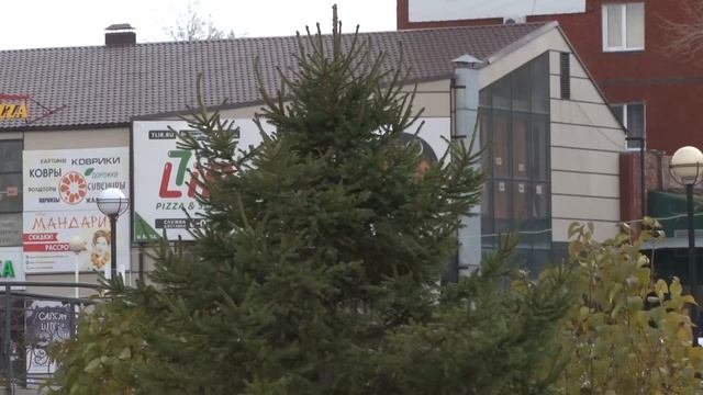 Саяногорцев призывают внести сведения по ранее возникшим правам в ЕГРН смотреть онлайн