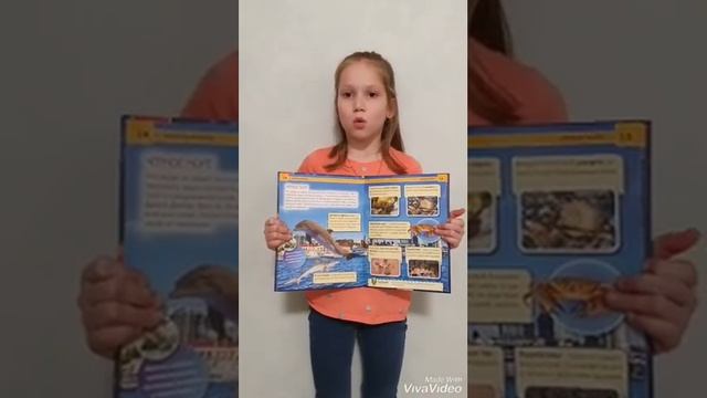 Рассказ о любимой книге смотреть онлайн