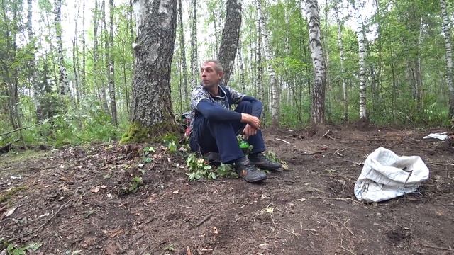 ВЫВОЗИМ МЕТАЛЛ УЖЕ МЕСЯЦ ИЗ ОДНОЙ ЯМЫ! смотреть онлайн