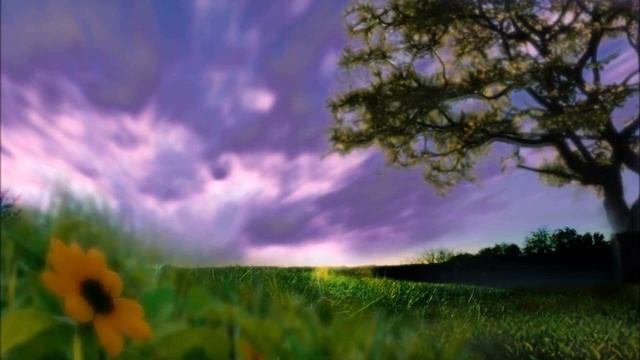 ЦЕНИТЕ СЛУХ, ЦЕНИТЕ ЗРЕНЬЕ! (Самуил Маршак, философские стихи) смотреть онлайн