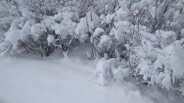 Как улучшить свою жизнь или кем быть выгодней оптимистом или пессимистом смотреть онлайн
