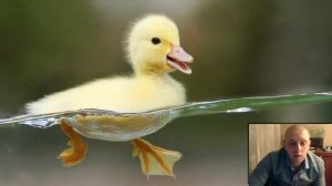 Вода желтеет? Почему желтеет вода? Вода из скважины желтеет. Вода при кипячении и нагревании желтее