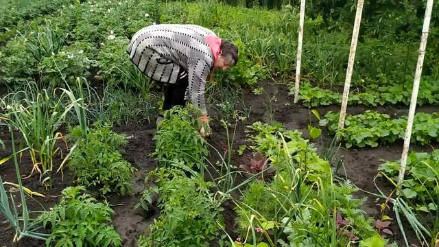 Подивіться на цю Олю , сама не сидить і іншим не дає. смотреть онлайн
