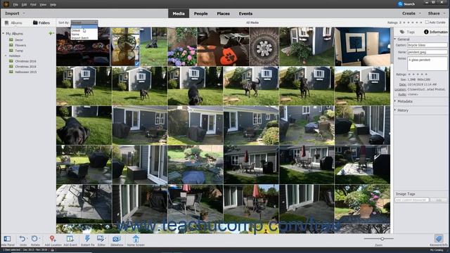 Photoshop Elements 2020 Tutorial Sorting Images Adobe Training смотреть онлайн