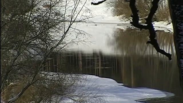 Луга зимой смотреть онлайн
