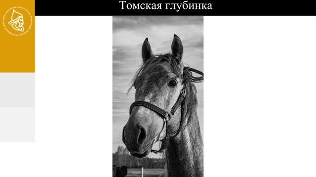 Ашурок Матвей Владимирович