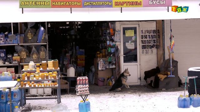 Деньги за Дружбу !! смотреть онлайн