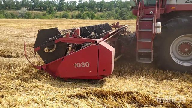 Уборка пшениці 2023.КЕЙС 2388 смотреть онлайн