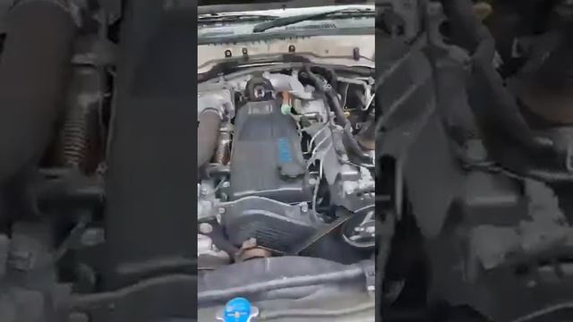 Двигатель 1HDFTE Land Cruiser Toyota смотреть онлайн