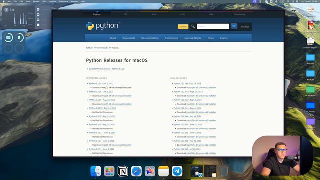 Python для ЕГЭ. УРОК 1 | Установка Python и PyChram смотреть онлайн