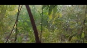 Взяли в аренду пруды у государства