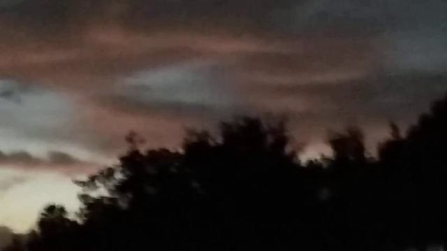 Гриб из облаков. смотреть онлайн