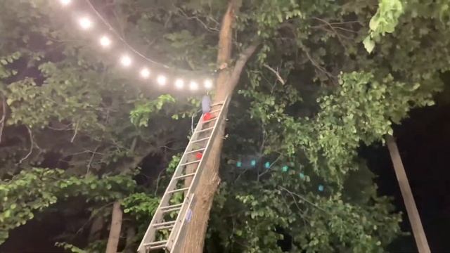 В парке делаем гирлянды с дочкой смотреть онлайн