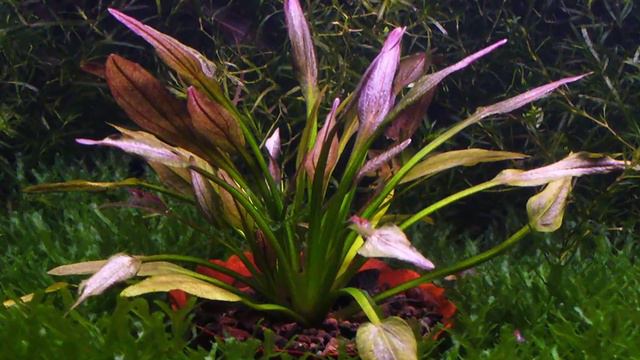 «Марсианские Хроники» - Время, вперёд! смотреть онлайн