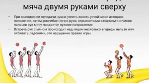 15 урок.  Волейбол.  Основные  приемы и  передачи мяча