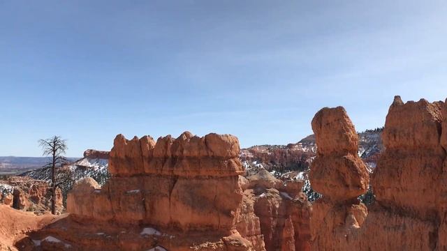 I've Been Through the Desert in a Subaru with No Name смотреть онлайн