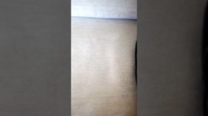 Микрофон + меняет голос.