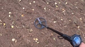 XP Deus 2 Ходим по пашне реальный коп монет