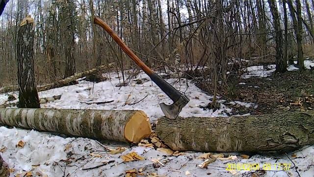 валочный тигр смотреть онлайн