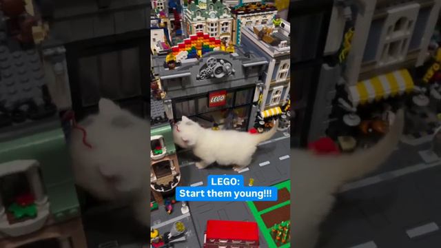 😨 Мяузилла снова атакует Лего город! Автор: Brickswhynot