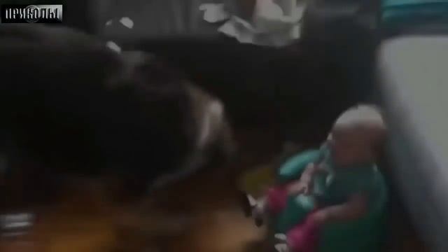 Смешное видео. Смешной детский смех, он заставит вас смеяться! смотреть онлайн