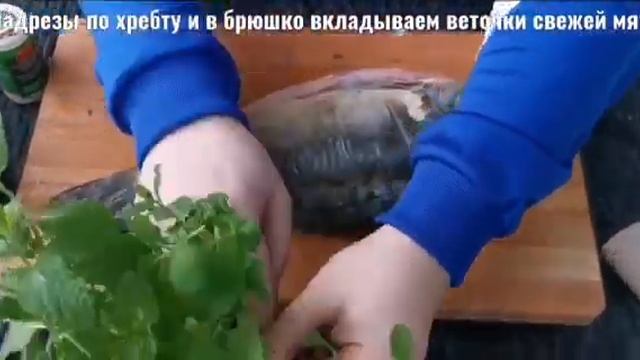 Карп на гриле! Готовим только так! #grill #гриль #рыба #вкусно #готовимдома #еда смотреть онлайн