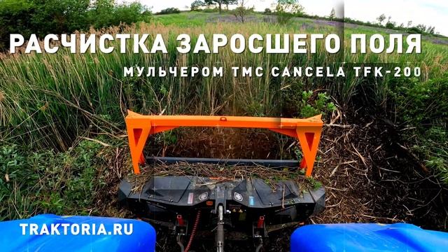 Трансформация расчистки! Топовый Мульчерный Комплекс TMC Cancela TFK-200 и трактор New Holland смотреть онлайн