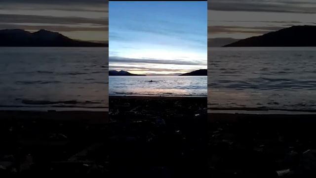 Открытие купального сезона в Маге 24.10.2023 г .от Рождества Христова. смотреть онлайн