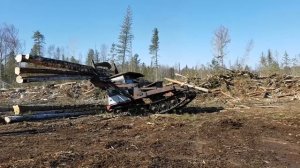 Весенний день в тайге и лесовозы на вывозе хлыстов!