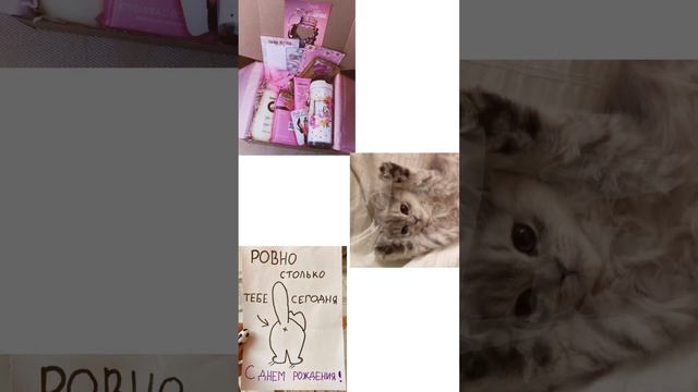 Попытайся выжить на др Минхо!) смотреть онлайн