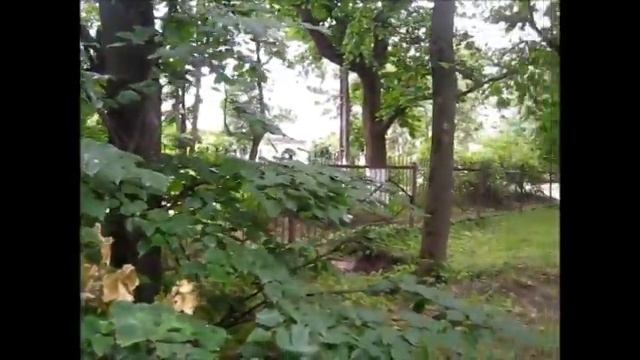 Четыре Ленина одного города смотреть онлайн