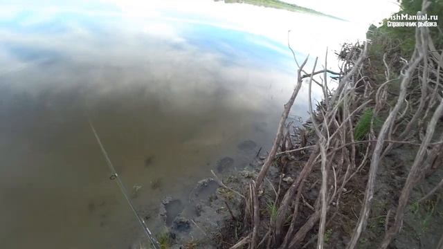 СТОИТ ЛИ ЗАКАЗЫВАТЬ БЛЕСНЫ С ALIEXPRESS? КОПИИ БЛЕСЕН PONTOON 21. ЛУЧШИЕ БЛЕСНЫ НА ХИЩНИКА смотреть онлайн