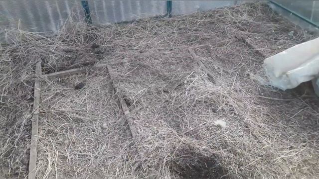 Прибираемся в огороде. Сеем ранний редис. Парнички для подоконников хорошо себя зарекомендовали!.mp4 смотреть онлайн