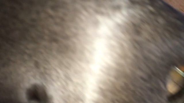 СТРАННЫЙ ЛАК ДЛЯ НОГТЕЙ / ПОДАРОК НА 8 МАРТА и др... смотреть онлайн