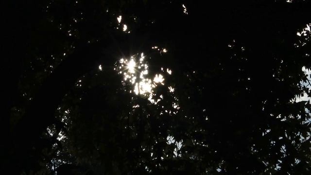 Canon 1100D Test