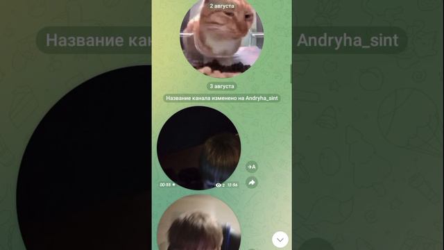 тгк-AndryhaSint&MsStepRT смотреть онлайн