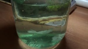 Чем кормить  (маленьких ампулярий)???