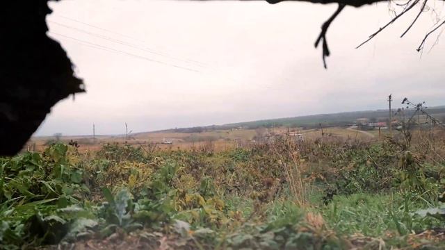 ВЫЖИВАНИЕ в REAL LIFE🌲 смотреть онлайн