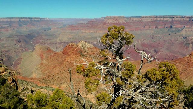 USA relax with US (national) parks: Grand Canyon & Capitol Reef смотреть онлайн