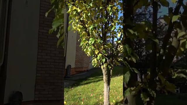 Таунхаус "под ключ" на участке 5 соток в ЖК Дубровка #shorts смотреть онлайн