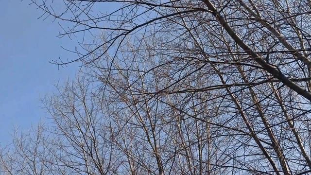 Самые опасные дни в апреле 2022. Самые неблагоприятные дни. Что делать нельзя. смотреть онлайн