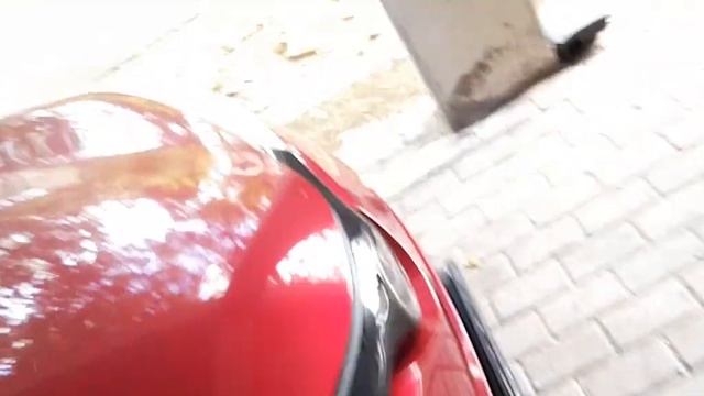 TOYOTA CHR 2019 CHASSIS NUMBER AND ENGINE NUMBER LOCATION