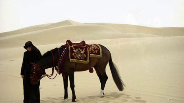 #нашид✨#nasheed #халяль #красивый спокойный нашид #путь слез #сабилю думу