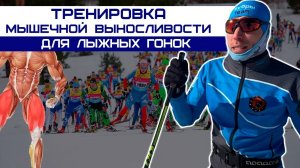 Лыжные гонки. Тренировка мышечной выносливости для лыжников