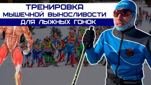 Лыжные гонки. Тренировка мышечной выносливости для лыжников