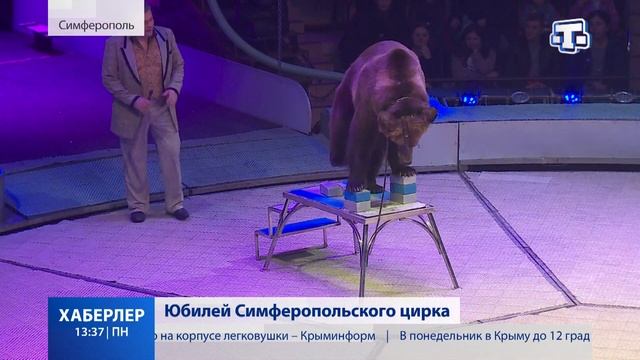 Юбилей Симферопольского цирка смотреть онлайн