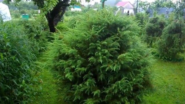 Музыка дождя. Запись #88. смотреть онлайн