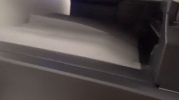 Konica Minolta Bizhub C452 Multifunctional Office Device  Printer Scanner Copier review